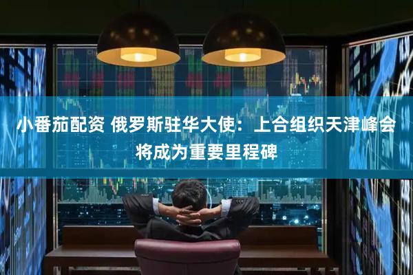 小番茄配资 俄罗斯驻华大使：上合组织天津峰会将成为重要里程碑