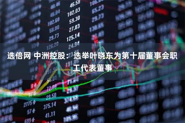 选倍网 中洲控股：选举叶晓东为第十届董事会职工代表董事