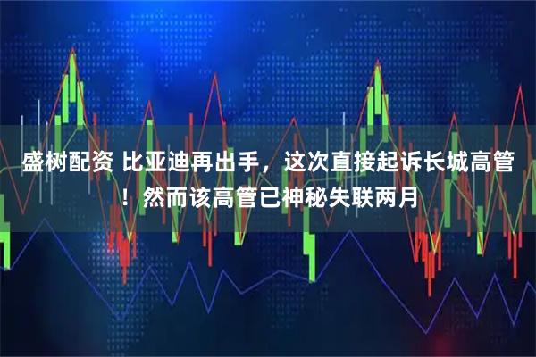 盛树配资 比亚迪再出手，这次直接起诉长城高管！然而该高管已神秘失联两月
