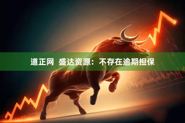 道正网  盛达资源：不存在逾期担保