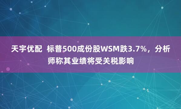 天宇优配  标普500成份股WSM跌3.7%，分析师称其业绩将受关税影响