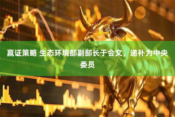 赢证策略 生态环境部副部长于会文,递补为中央委员