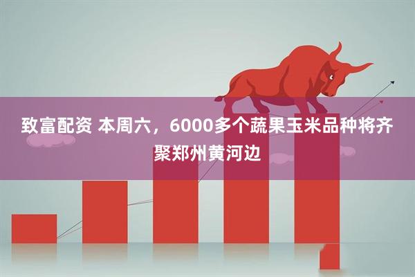 致富配资 本周六，6000多个蔬果玉米品种将齐聚郑州黄河边