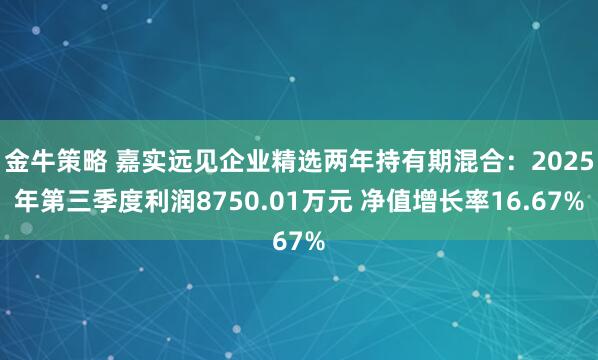 金牛策略 嘉实远见企业精选两年持有期混合：2025年第三季度利润8750.01万元 净值增长率16.67%