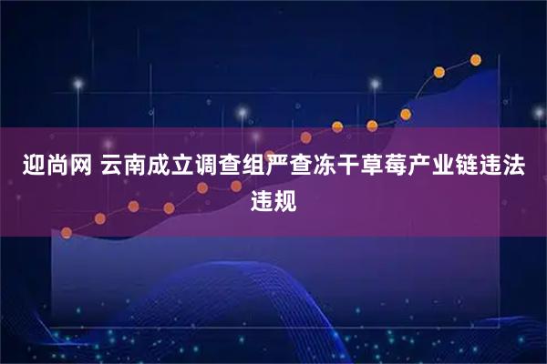 迎尚网 云南成立调查组严查冻干草莓产业链违法违规
